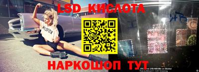 ешки Сланцы
