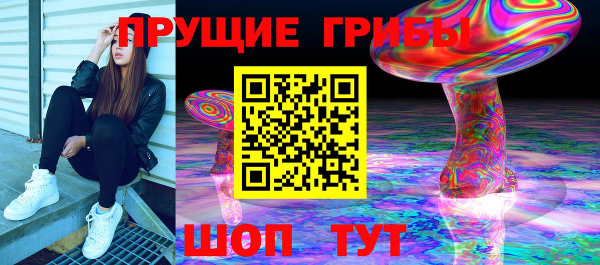 Псилоцибиновые грибы Psilocybine cubensis  Вход с VPN  Урюпинск 