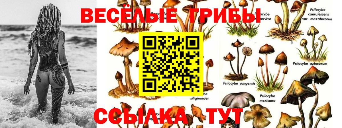 Галлюциногенные грибы Cubensis Урюпинск