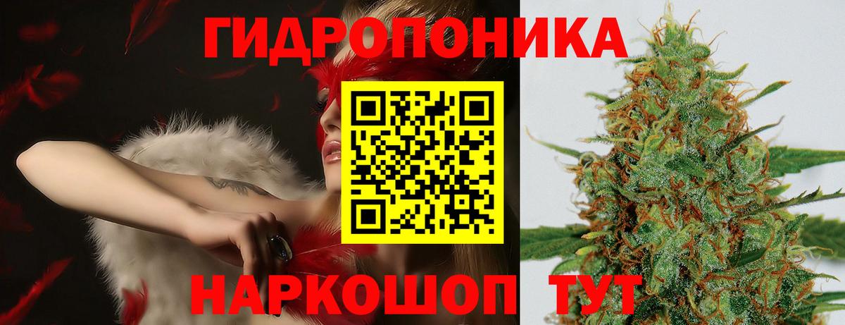 Каннабис Ganja  Шишки марихуана Bruce Banner  Бошки Шишки Ganja  Вход с VPN  Урюпинск  Марихуана LSD WEED 